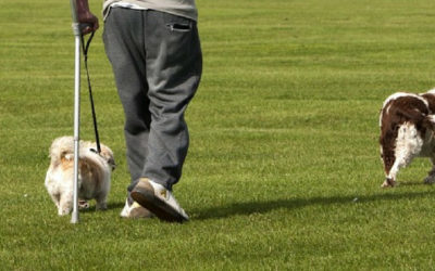 ¿Quién puede beneficiarse de la actividad física en Esclerosis Múltiple?