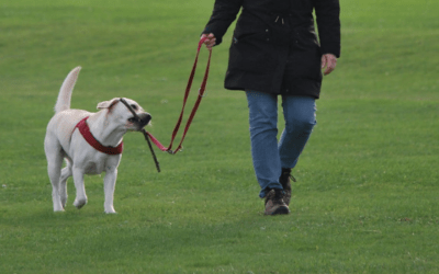 ¿Cómo aumentar la actividad física en el día a día con Esclerosis Múltiple?